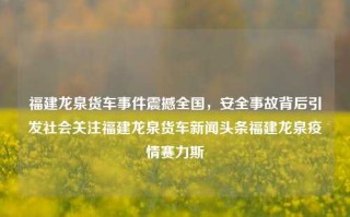 福建龙泉货车事件震撼全国，安全事故背后引发社会关注福建龙泉货车新闻头条福建龙泉疫情赛力斯