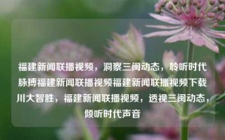 福建新闻联播视频，洞察三闽动态，聆听时代脉搏福建新闻联播视频福建新闻联播视频下载川大智胜，福建新闻联播视频，透视三闽动态，倾听时代声音，福建新闻联播视频，透视三闽动态，倾听时代声音的窗口