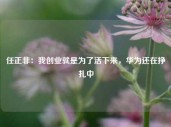 任正非：我创业就是为了活下来，华为还在挣扎中