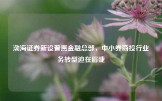 渤海证券新设普惠金融总部，中小券商投行业务转型迫在眉睫