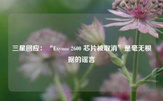 三星回应：“Exynos 2600 芯片被取消”是毫无根据的谣言