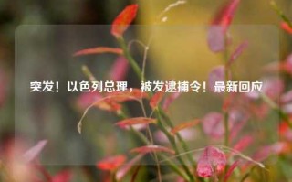 突发！以色列总理，被发逮捕令！最新回应