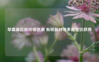 早盘高位股持续退潮 有研新材等多股竞价跌停