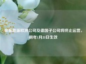 蜂巢能源欧洲公司及德国子公司将终止运营，明年1月31日生效