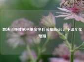 意法半导体第三季度净利润暴跌68%，下调全年预期