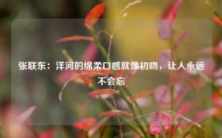 张联东：洋河的绵柔口感就像初吻，让人永远不会忘