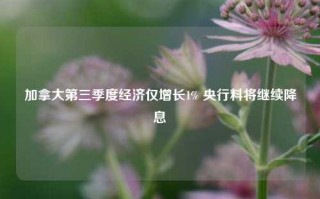 加拿大第三季度经济仅增长1% 央行料将继续降息