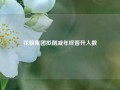 花旗集团拟削减年终晋升人数