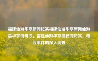 福建仙游华亭新闻纪实福建仙游华亭新闻仙游县华亭镇毒液，福建仙游华亭镇新闻纪实，毒液事件的深入调查，福建仙游华亭毒液事件纪实，深入调查调查后的回应