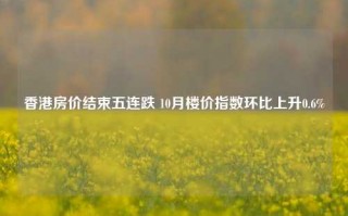 香港房价结束五连跌 10月楼价指数环比上升0.6%