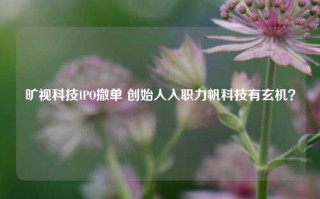 旷视科技IPO撤单 创始人入职力帆科技有玄机？