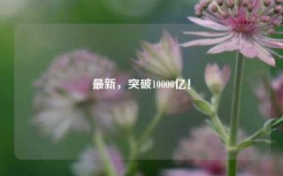 最新，突破10000亿！