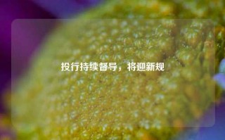 投行持续督导，将迎新规