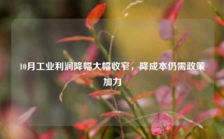 10月工业利润降幅大幅收窄，降成本仍需政策加力