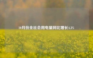 10月份全社会用电量同比增长4.3%