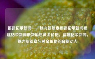 福建柘荣新闻——魅力新篇章福建柘荣新闻福建柘荣新闻最新消息黄金价格，福建柘荣新闻，魅力新篇章与黄金价格的最新动态，福建柘荣新闻，魅力新篇章与黄金价格动态更新