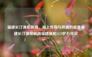 福建长汀渔船新闻，海上传奇与救援的篇章福建长汀渔船新闻福建渔船5179炉石传说