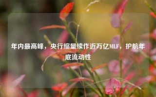 年内最高峰，央行缩量续作近万亿MLF，护航年底流动性