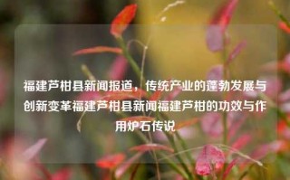 福建芦柑县新闻报道，传统产业的蓬勃发展与创新变革福建芦柑县新闻福建芦柑的功效与作用炉石传说