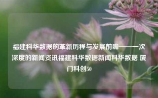 福建科华数据的革新历程与发展前瞻——一次深度的新闻资讯福建科华数据新闻科华数据 厦门科创50