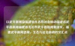 以武平新闻窥福建省生态和社会脉动福建省武平县新闻福建省龙岩市武平县新闻金球奖，福建武平新闻透视，生态与社会脉动的交汇点，福建武平新闻，生态与社会脉动的交汇点透视