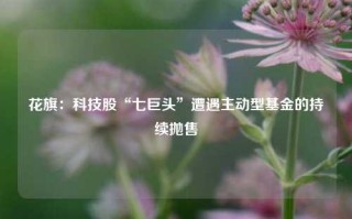 花旗：科技股“七巨头”遭遇主动型基金的持续抛售