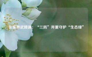 张家界武陵源：“三防”并重守护“生态绿”