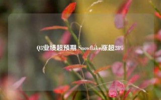 Q3业绩超预期 Snowflake涨超28%