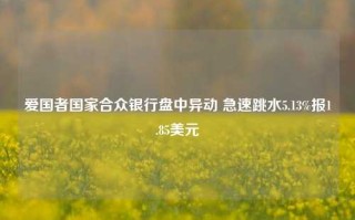 爱国者国家合众银行盘中异动 急速跳水5.13%报1.85美元