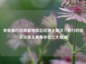 农业银行信用管理部总经理王霄汉：农行的信贷投放主要集中在三大领域