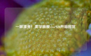 一眼漂亮！美学旗舰vivo S20开箱图赏