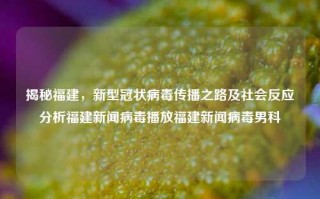 揭秘福建，新型冠状病毒传播之路及社会反应分析福建新闻病毒播放福建新闻病毒男科