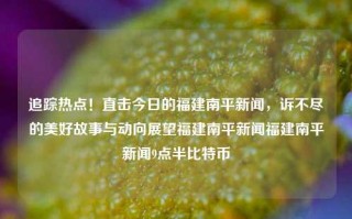 追踪热点！直击今日的福建南平新闻，诉不尽的美好故事与动向展望福建南平新闻福建南平新闻9点半比特币