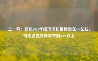 王一鸣：建议2025年经济增长目标定在5%左右，可考虑提高赤字率到3.8%以上