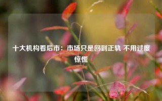 十大机构看后市：市场只是回到正轨 不用过度惊慌