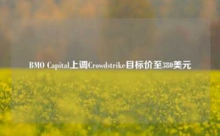 BMO Capital上调Crowdstrike目标价至380美元