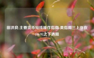 田洪良:主要货币短线操作指南 美指周三上涨在106.95之下遇阻