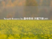 Novagold Resources Inc.盘中异动 大幅下挫5.03%