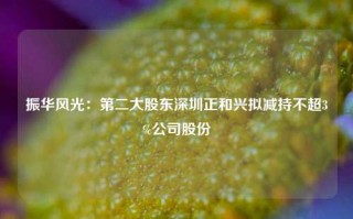 振华风光：第二大股东深圳正和兴拟减持不超3%公司股份