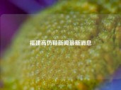 福建高仿鞋新闻最新消息