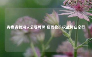 券商资管渴求公募牌照 稳固收扩权益势在必行