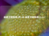 福建卫视新闻4月11日,福建卫视新闻20110417