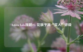 Astera Labs涨超8% 花旗予其“买入”评级