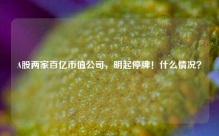 A股两家百亿市值公司，明起停牌！什么情况？