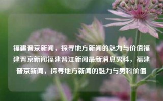 福建晋京新闻，探寻地方新闻的魅力与价值福建晋京新闻福建晋江新闻最新消息男科，福建晋京新闻，探寻地方新闻的魅力与男科价值，探索魅力与男科价值，福建晋京新闻的地域性新闻价值探析