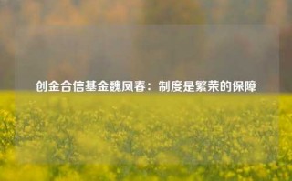 创金合信基金魏凤春：制度是繁荣的保障