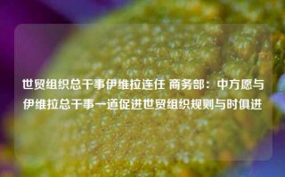 世贸组织总干事伊维拉连任 商务部：中方愿与伊维拉总干事一道促进世贸组织规则与时俱进