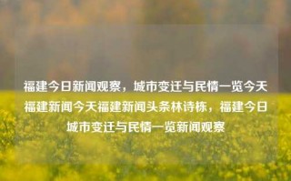 福建今日新闻观察，城市变迁与民情一览今天福建新闻今天福建新闻头条林诗栋，福建今日城市变迁与民情一览新闻观察，福建今日新闻焦点，城市变迁与民情全景观察