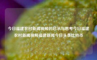 今日福建农村新闻视频的启示与思考今日福建农村新闻视频福建新闻今日头条比特币