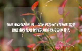 福建浦西花墙新闻，绽放的美丽与背后的故事福建浦西花墙新闻泉州浦西花园欧菲光